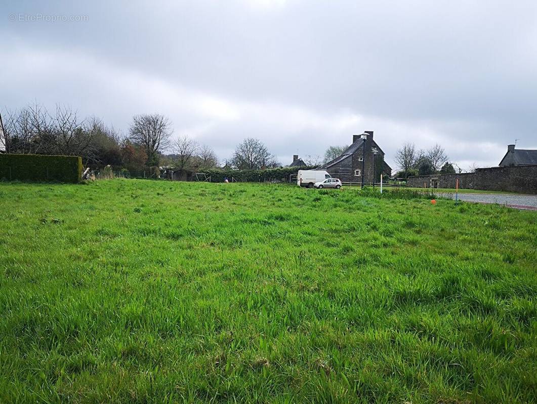 Terrain à LE MESNIL-OZENNE