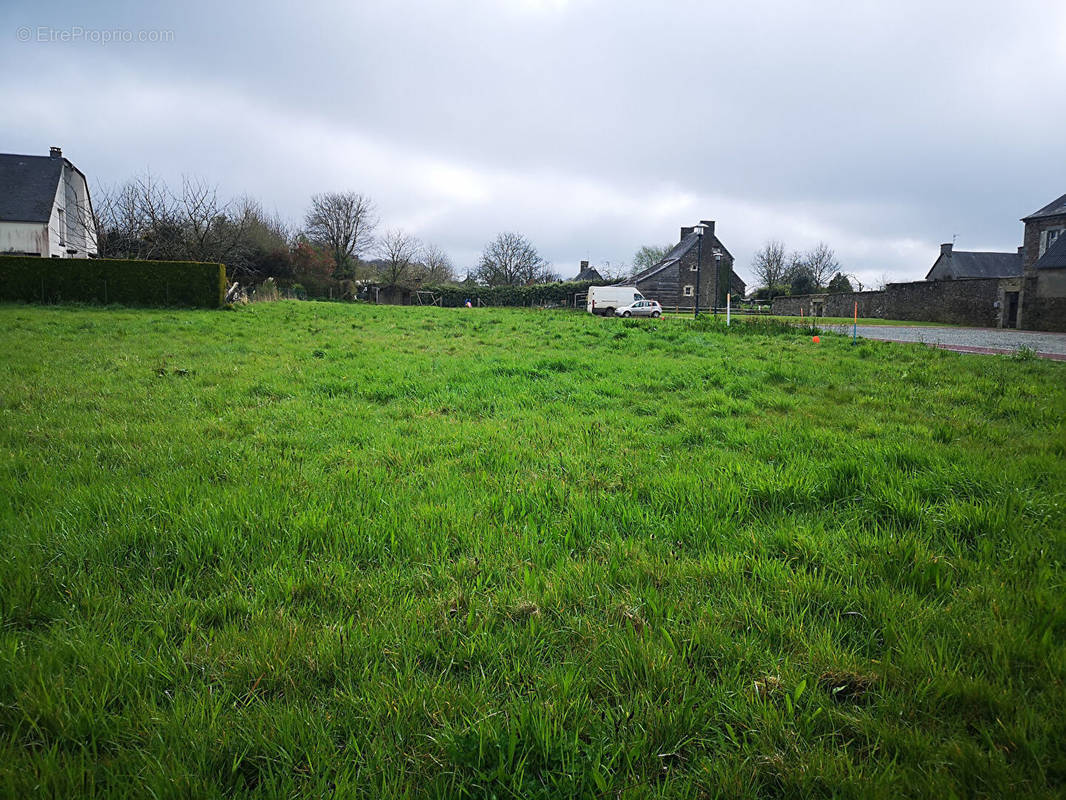 Terrain à LE MESNIL-OZENNE