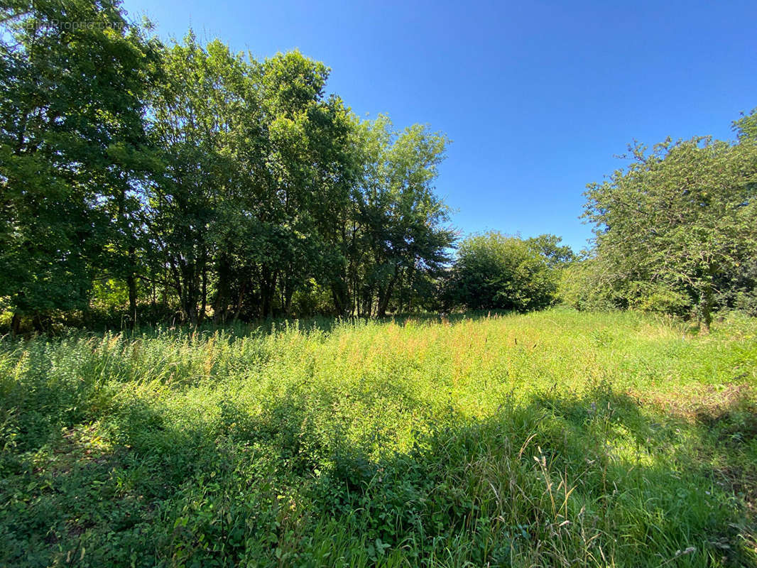 Terrain à LAMBALLE