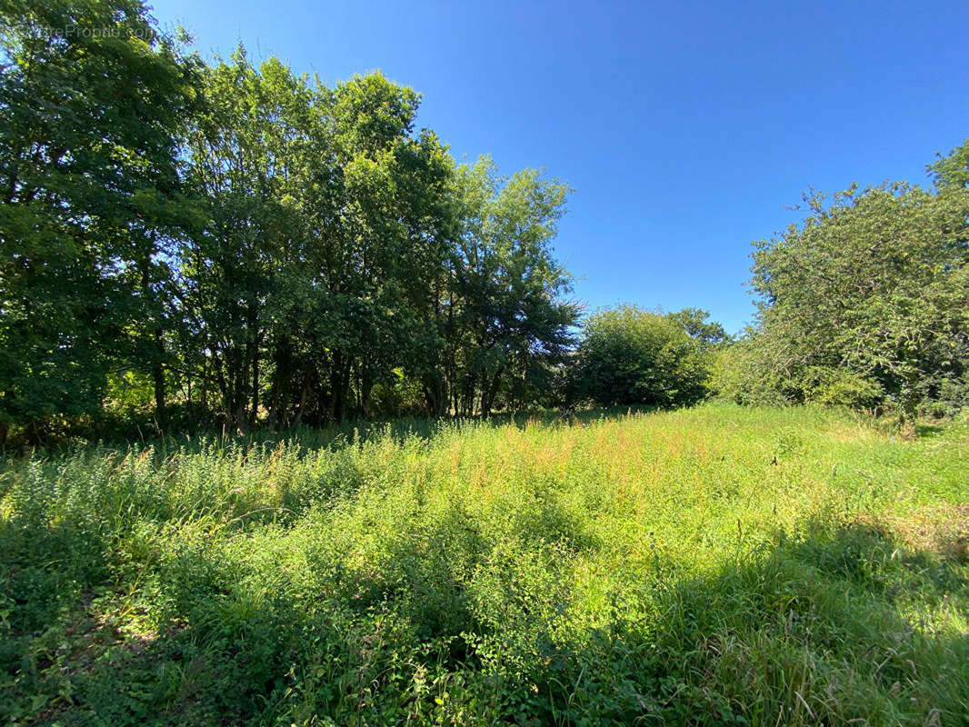 Terrain à LAMBALLE