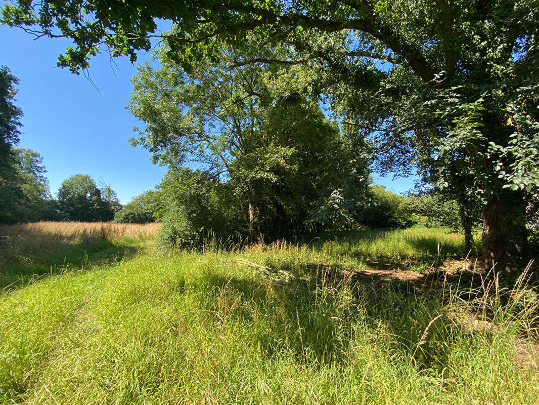 Terrain à LAMBALLE