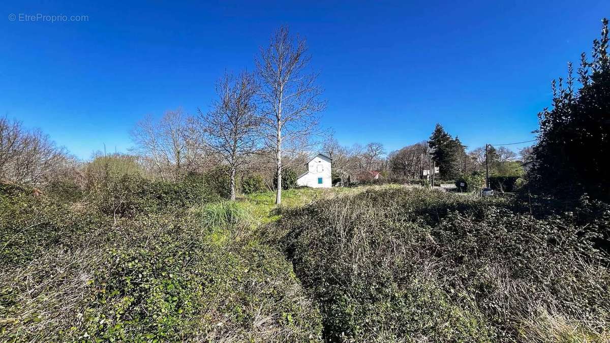 Terrain à SAINT-ANDRE-DE-SEIGNANX