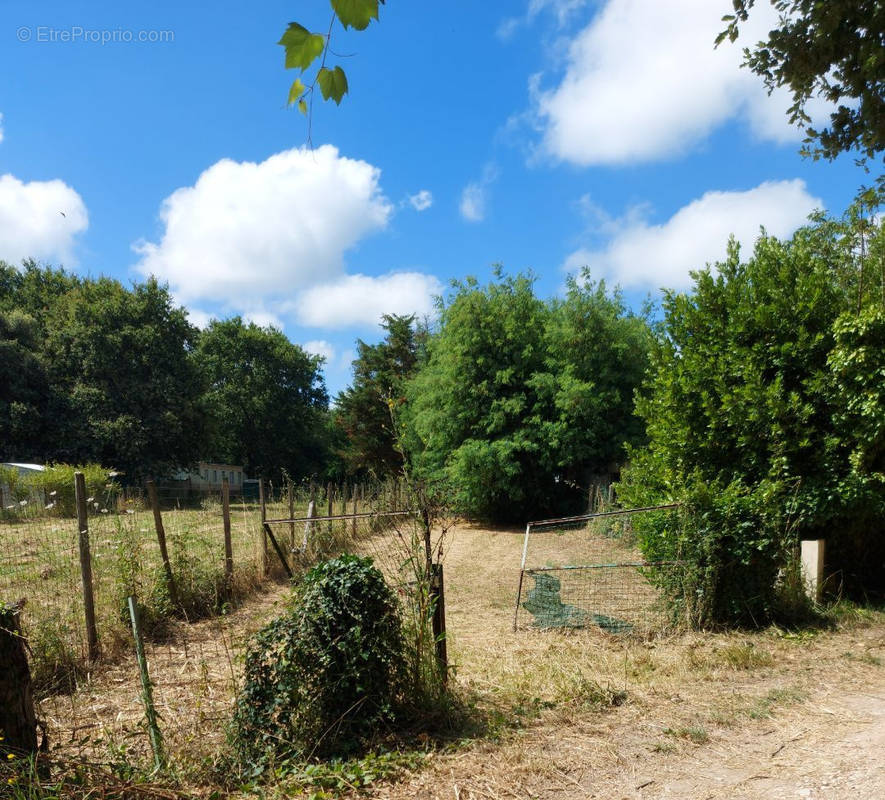 Terrain à SAINT-PIERRE-D&#039;OLERON