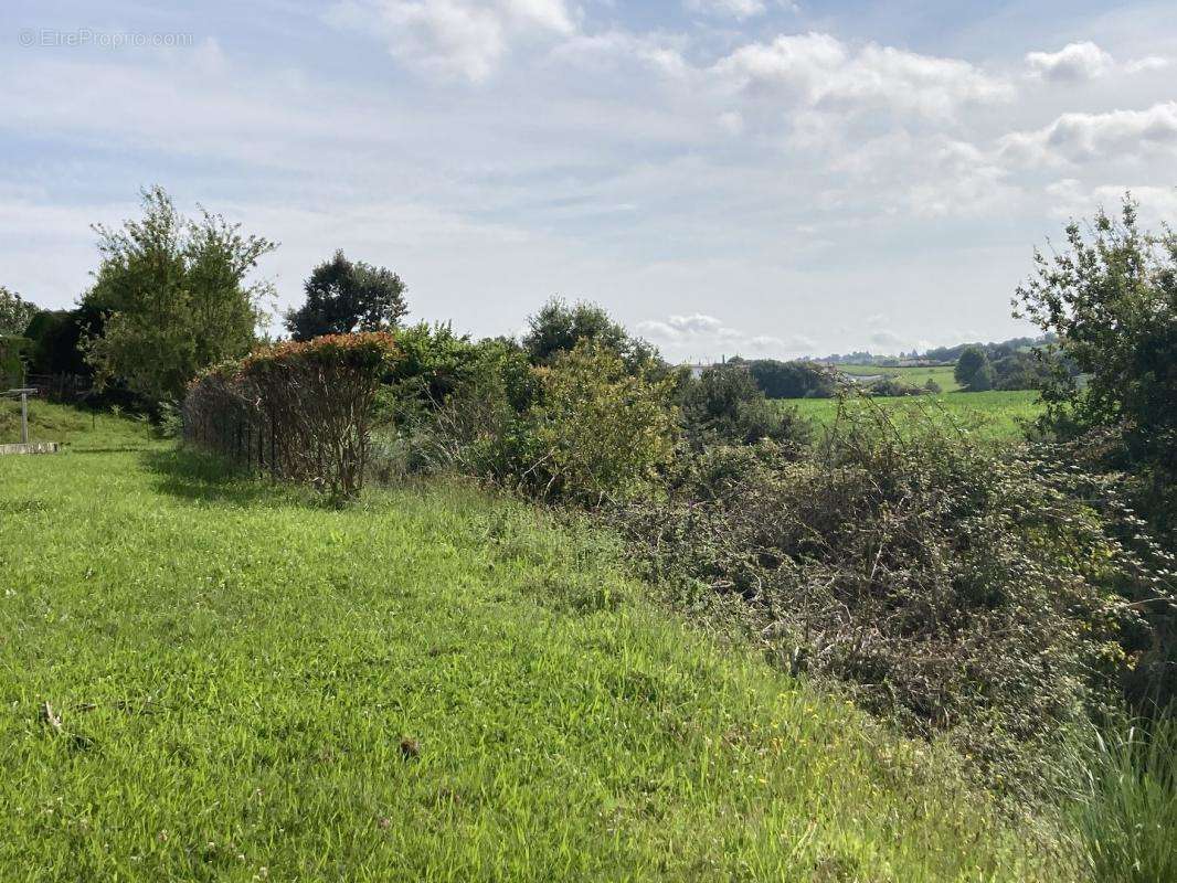 Terrain à SAINT-PEE-SUR-NIVELLE