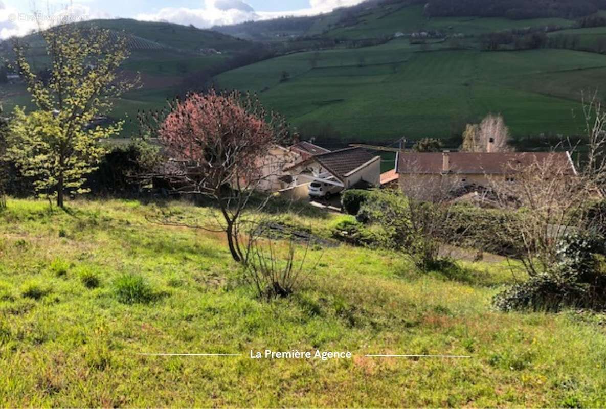 Terrain à SAINT-FORGEUX