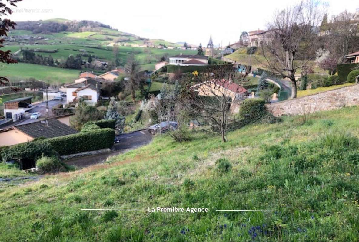 Terrain à SAINT-FORGEUX