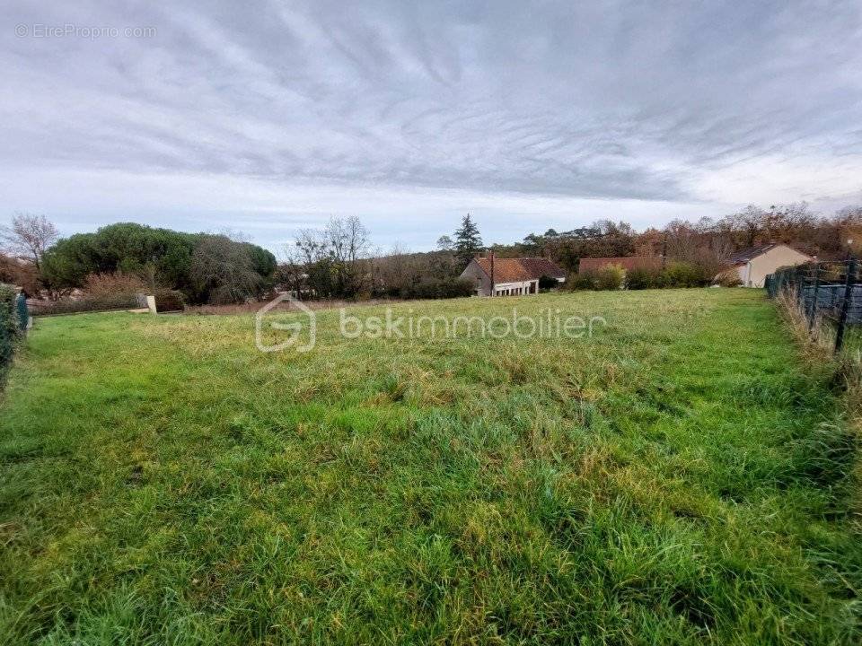 Terrain à SAINT-GEORGES-SUR-CHER