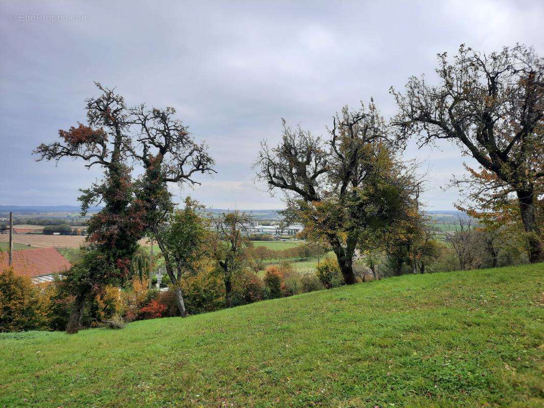 Terrain à LANGRES