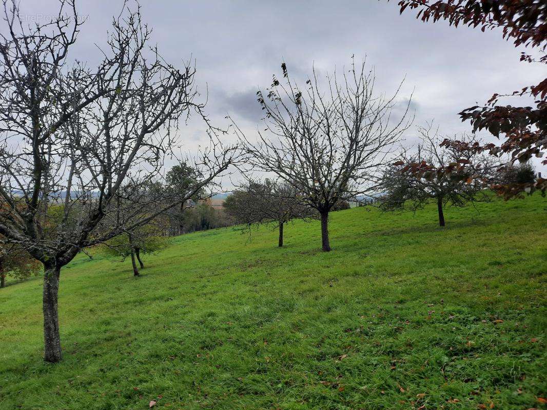 Terrain à LANGRES