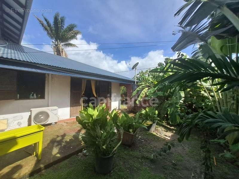 Maison à CAYENNE