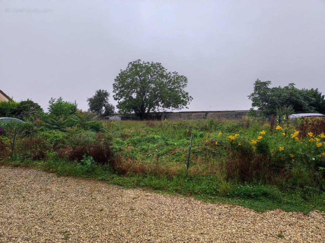 Terrain à DOURDAN