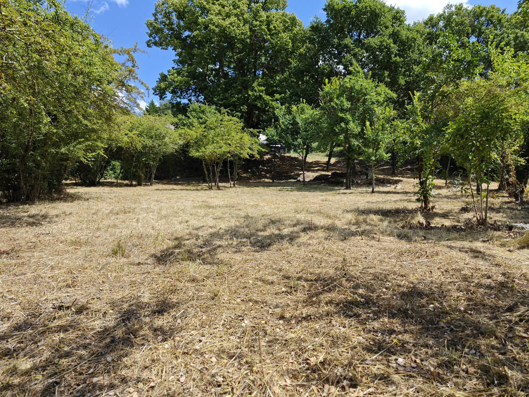 Terrain à SAINT-JEAN-DE-MARUEJOLS-ET-AVEJAN