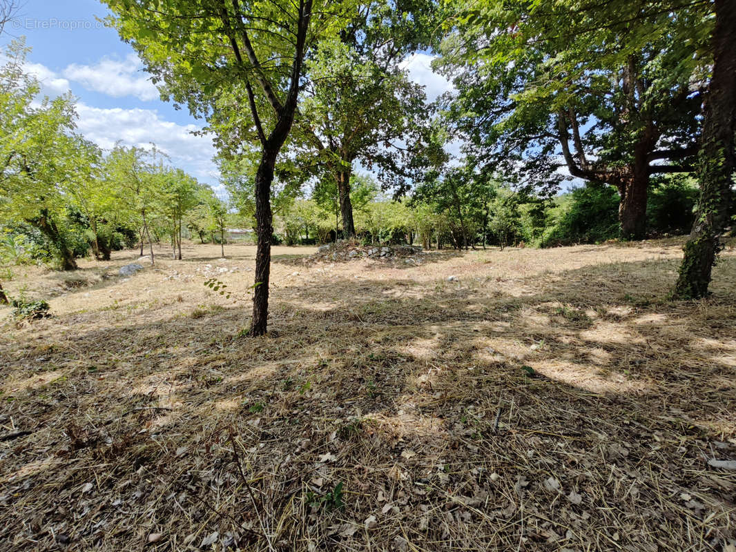 Terrain à SAINT-JEAN-DE-MARUEJOLS-ET-AVEJAN