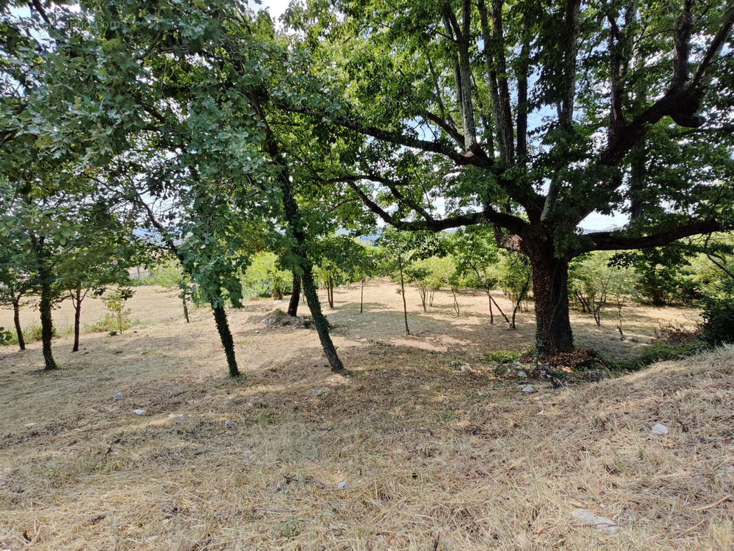 Terrain à SAINT-JEAN-DE-MARUEJOLS-ET-AVEJAN