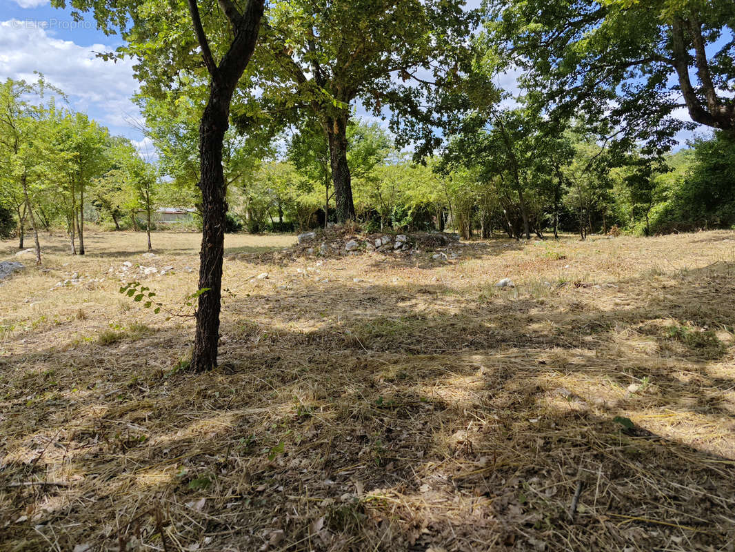 Terrain à SAINT-JEAN-DE-MARUEJOLS-ET-AVEJAN