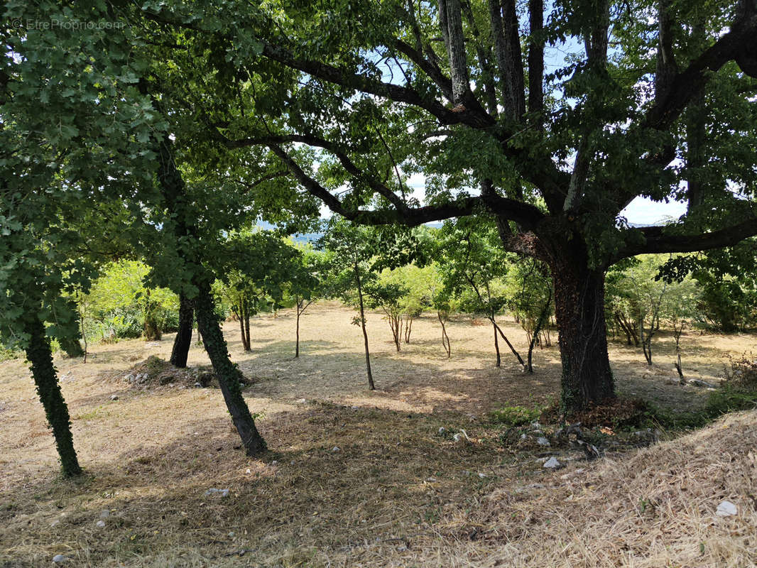 Terrain à SAINT-JEAN-DE-MARUEJOLS-ET-AVEJAN