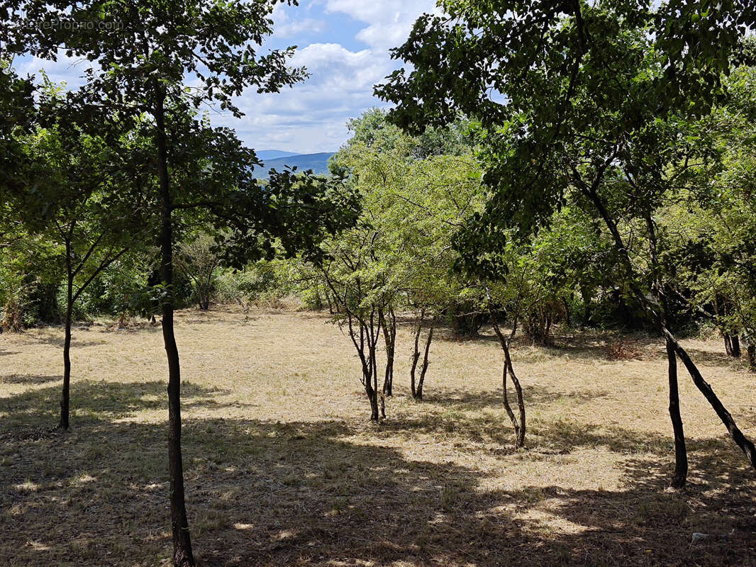 Terrain à SAINT-JEAN-DE-MARUEJOLS-ET-AVEJAN