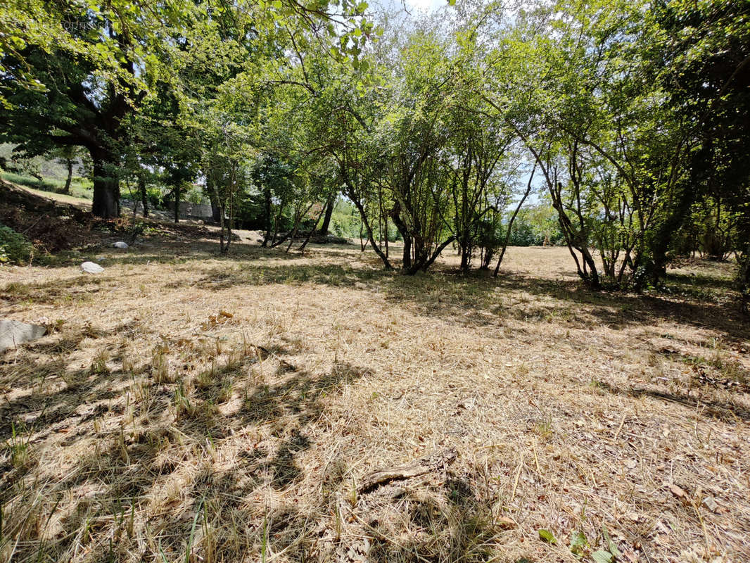 Terrain à SAINT-JEAN-DE-MARUEJOLS-ET-AVEJAN