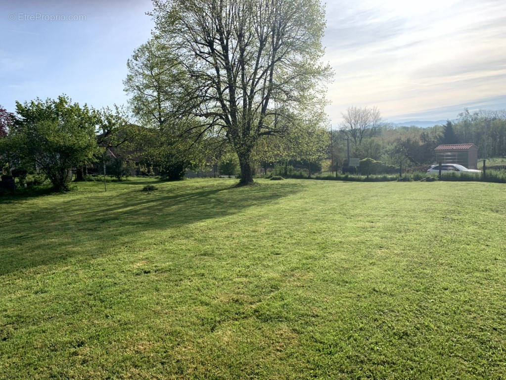 Terrain à VILLETTE-SUR-AIN