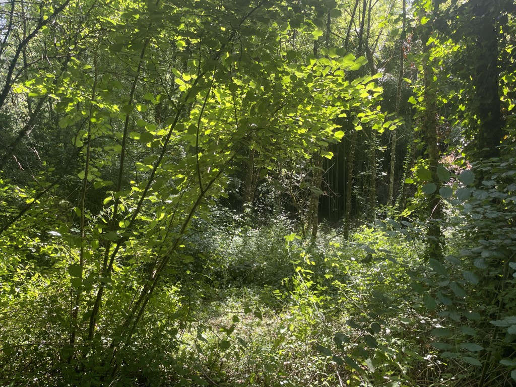 Parking à JUILLAC