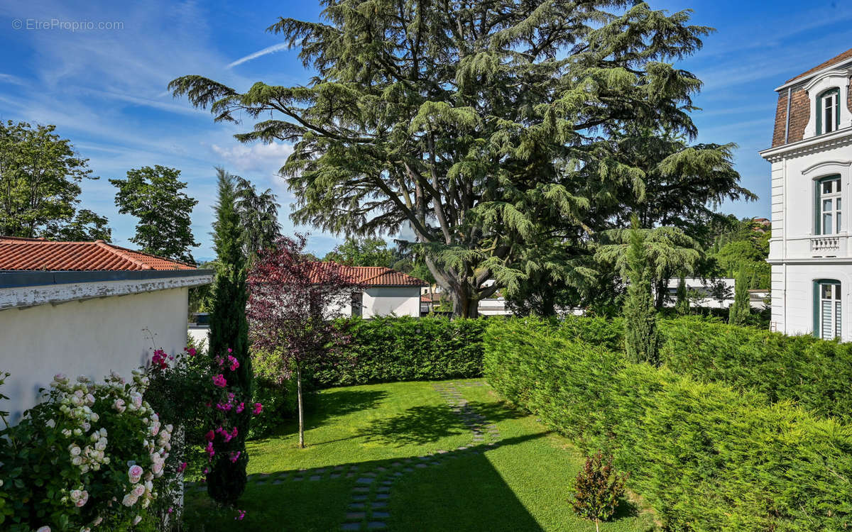 Maison à SAINT-CYR-AU-MONT-D&#039;OR