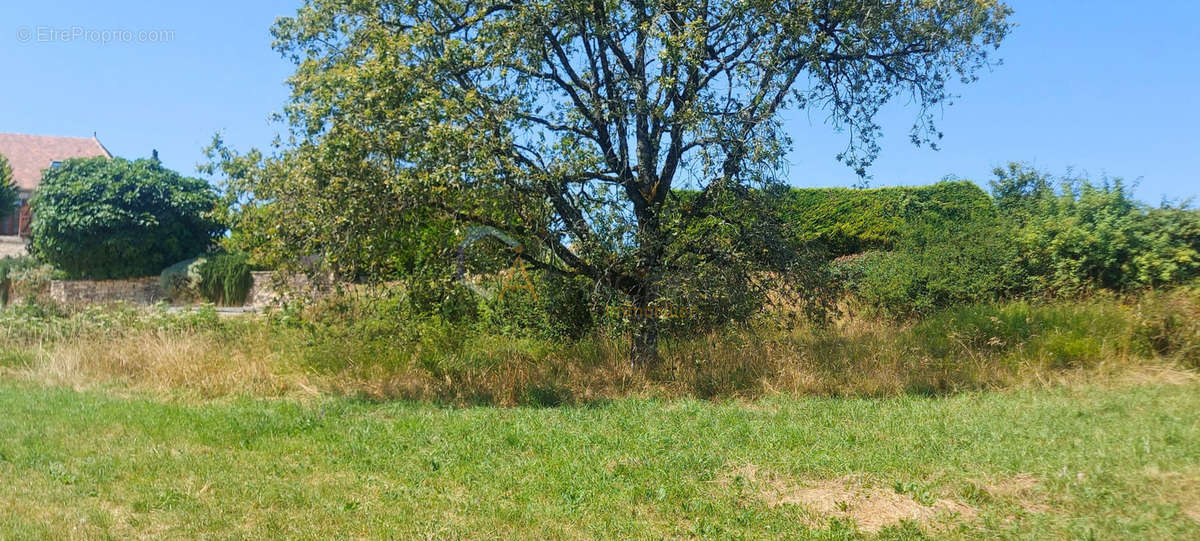 Terrain à GOURDON