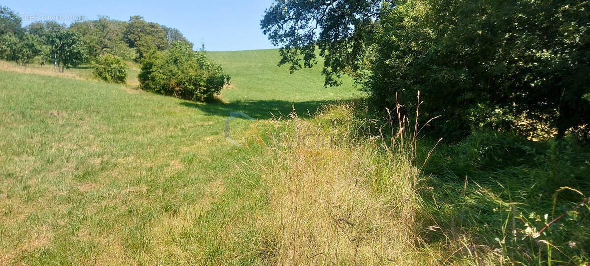 Terrain à GOURDON