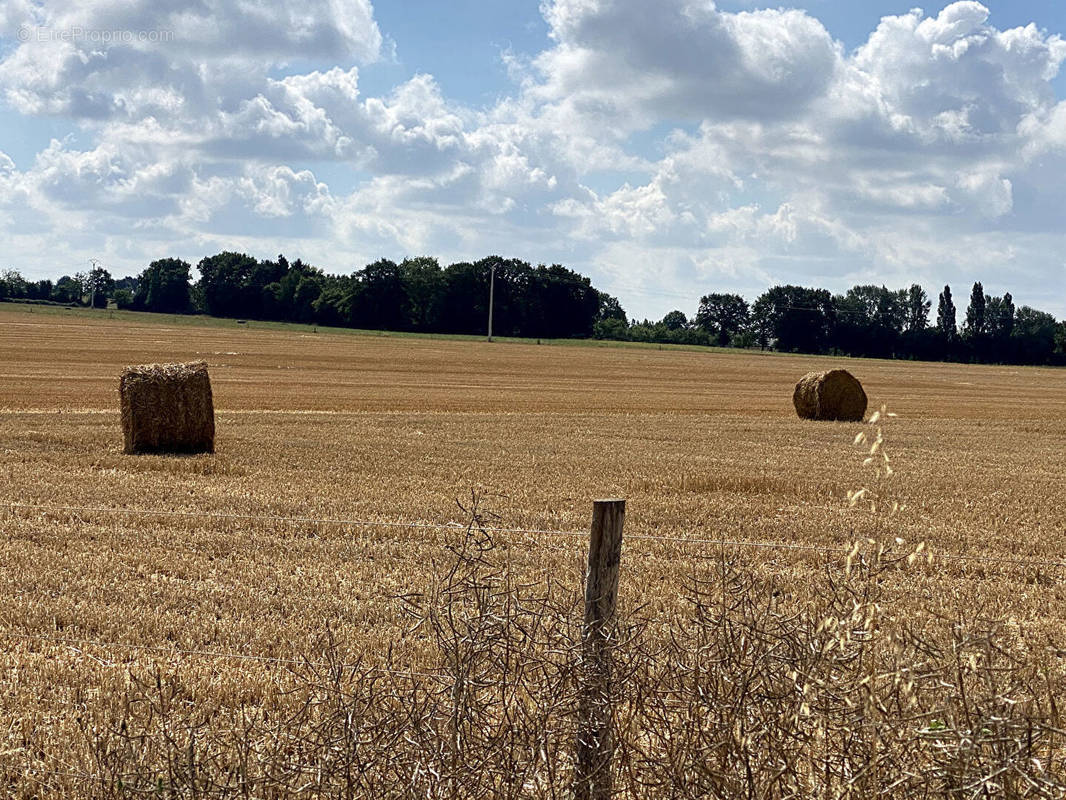 Terrain à POUANCE