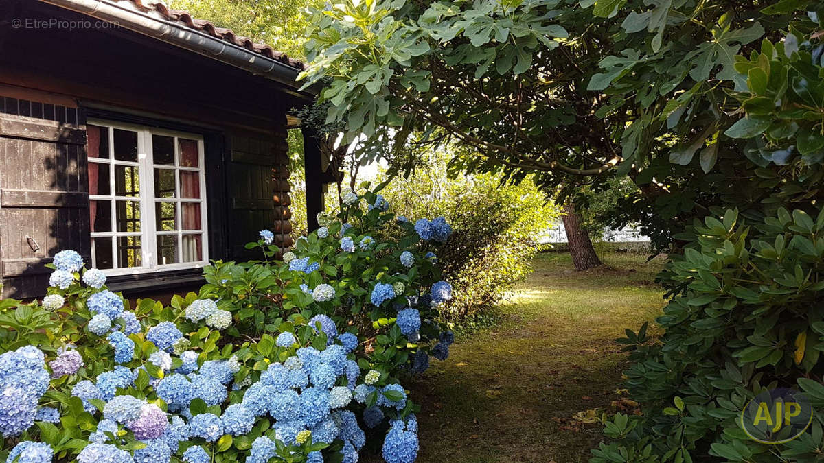 Maison à LEGE-CAP-FERRET