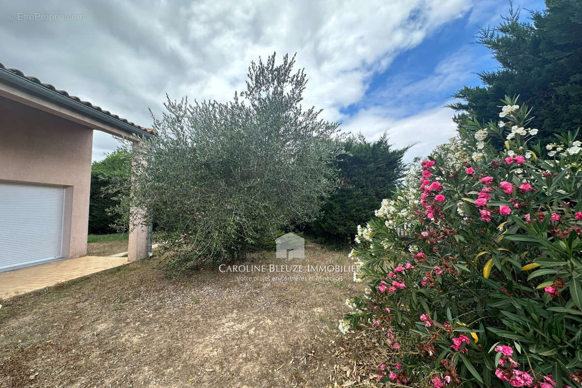 Maison à SAINT-COUAT-D&#039;AUDE