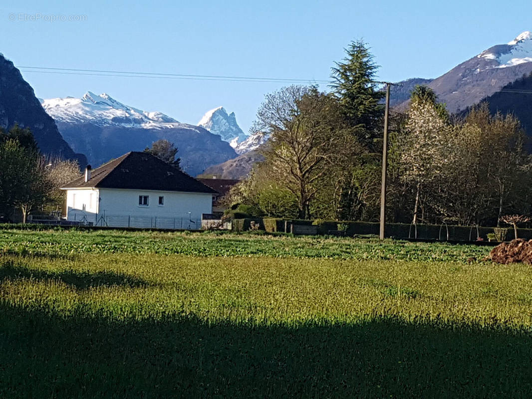 Terrain à LOUVIE-JUZON