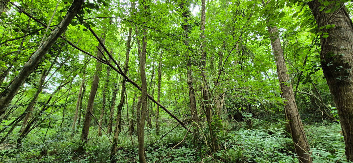 Terrain à MAISDON-SUR-SEVRE