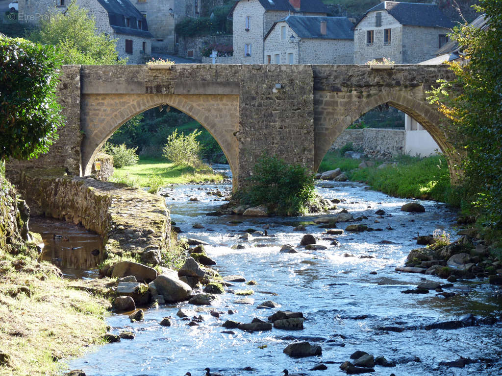 Terrain à TREIGNAC