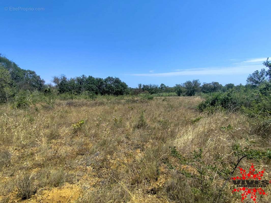 Terrain à LIEURAN-LES-BEZIERS