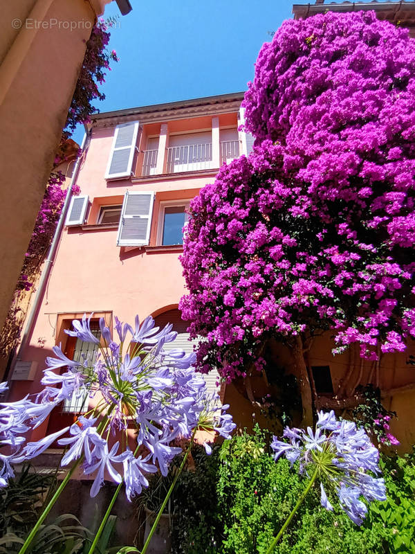 Maison à BORMES-LES-MIMOSAS