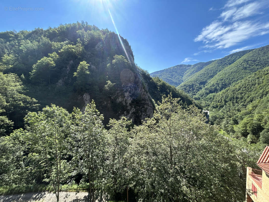 Appartement à PRATS-DE-MOLLO-LA-PRESTE