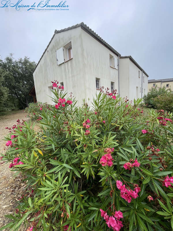 Maison à SAUVE