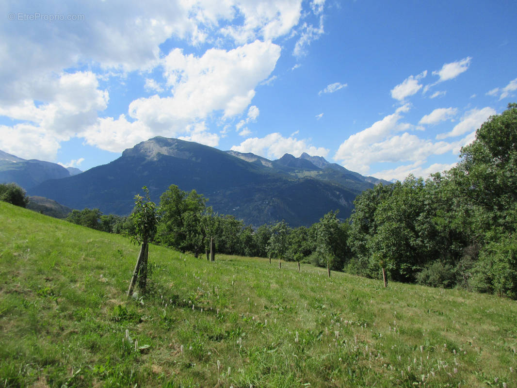 Terrain à RISOUL