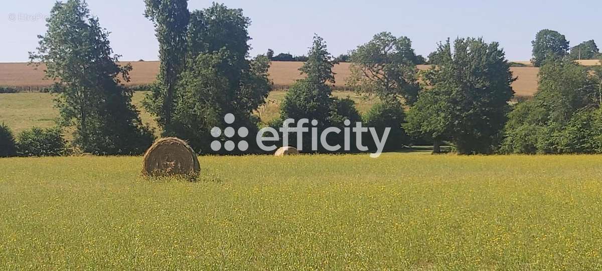 Terrain à ARCONNAY