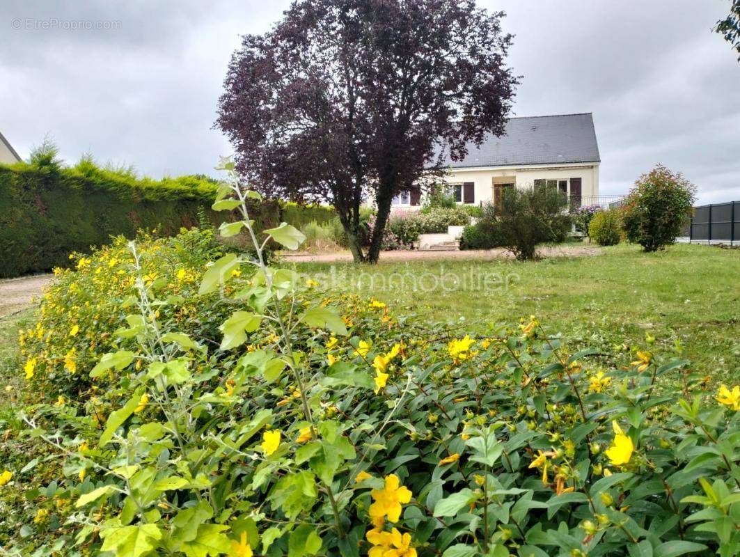 Maison à SORIGNY