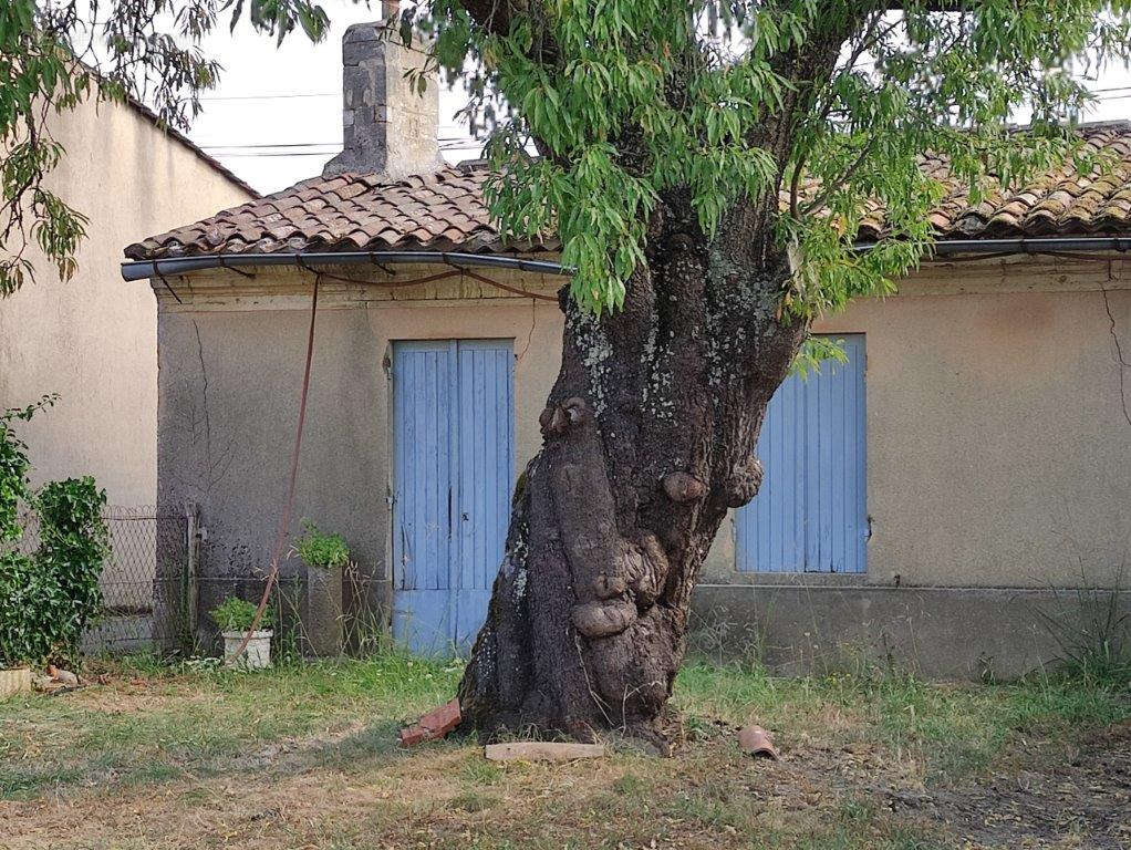 Maison à BOURG