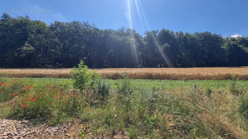 Terrain à AMNEVILLE