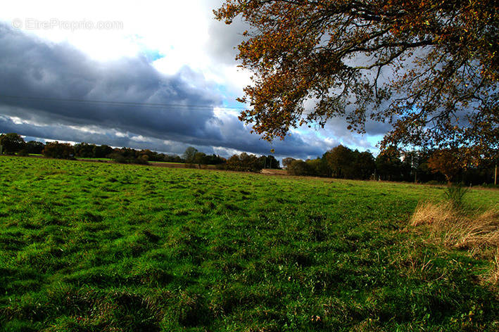 Terrain à MESSAC