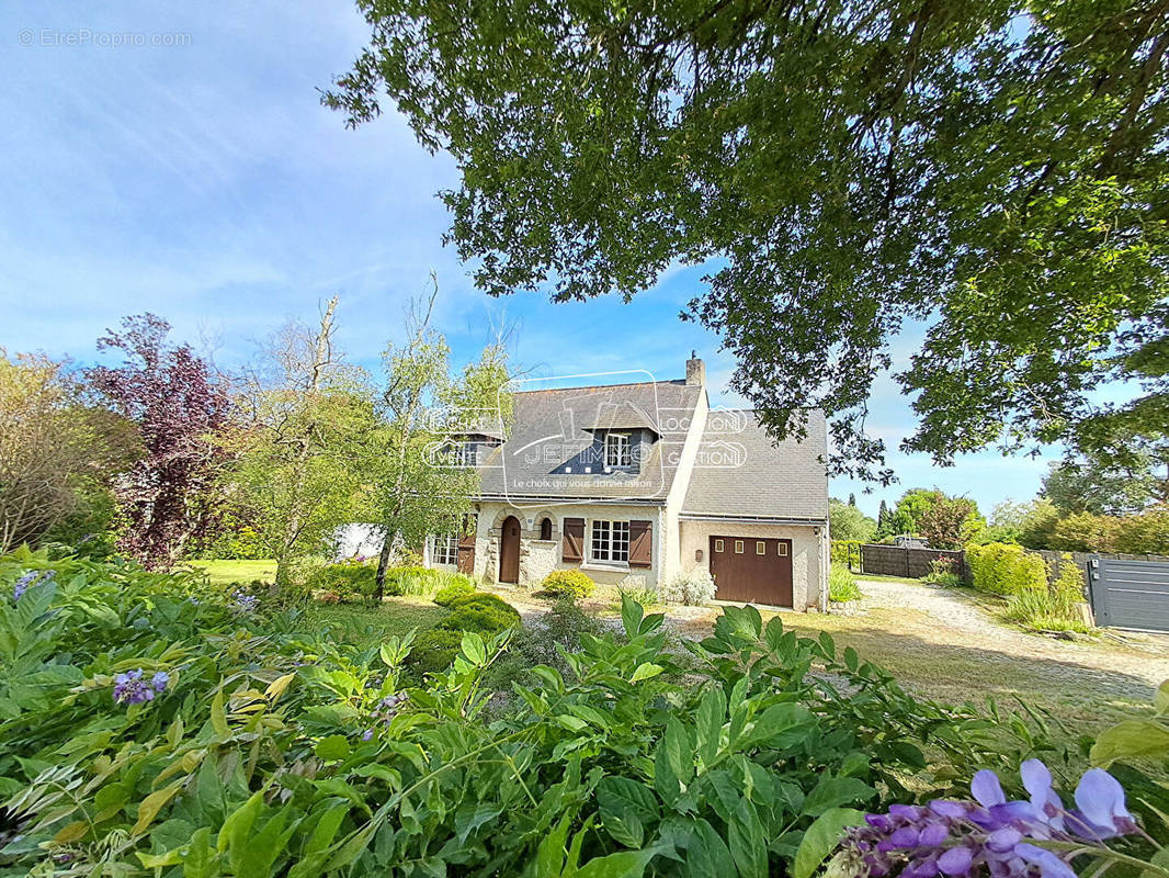 Maison à MAUVES-SUR-LOIRE