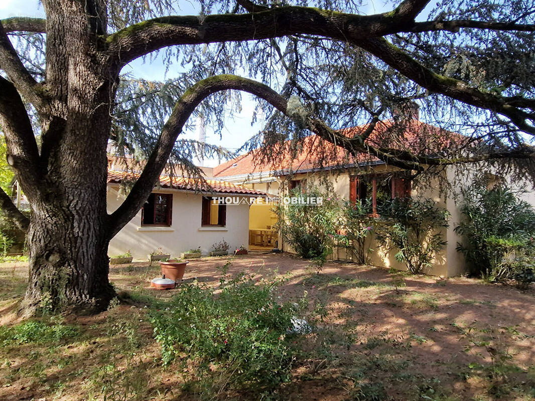 Maison à THOUARE-SUR-LOIRE