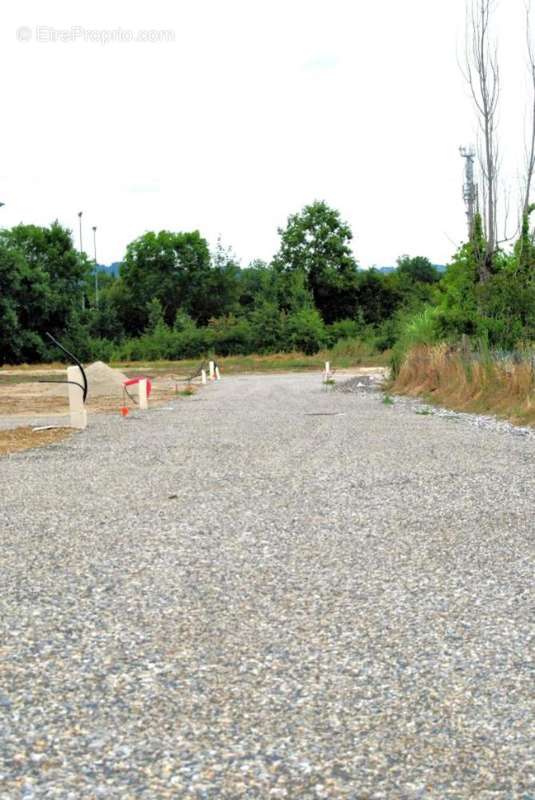 Photo 2 - Terrain à SAINT-NICOLAS-DE-LA-GRAVE