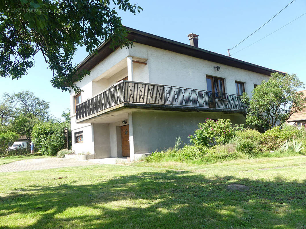 Maison à GUEWENHEIM