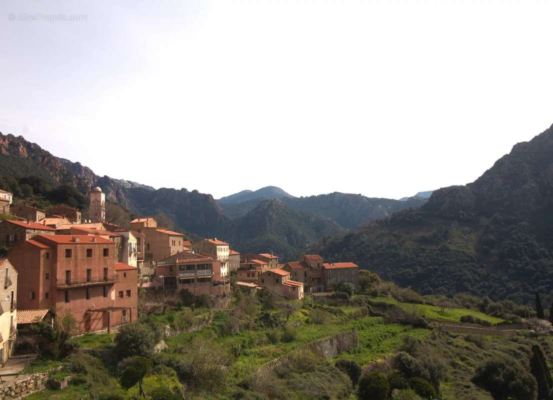 Appartement à PIANA