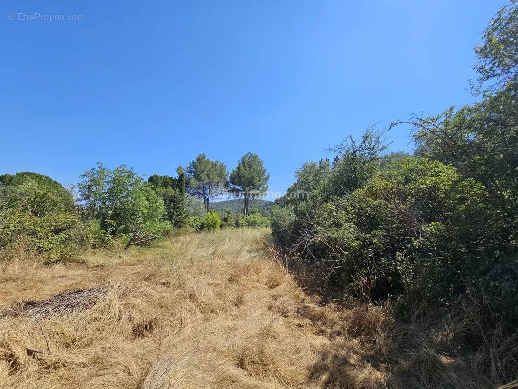 Terrain à DRAGUIGNAN