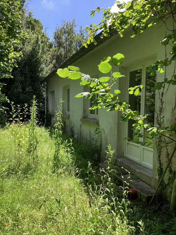 FACADE COTE TERRAIN - Maison à TALAIS